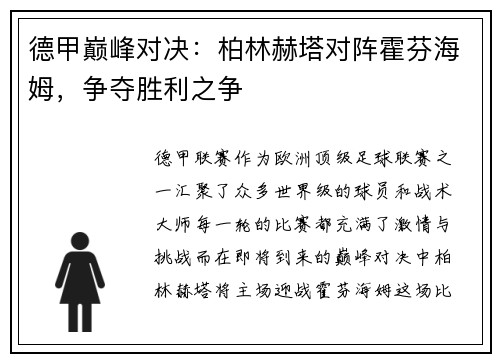 德甲巅峰对决：柏林赫塔对阵霍芬海姆，争夺胜利之争